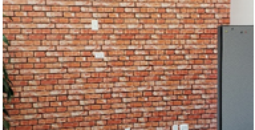 Brick Wall Murals
